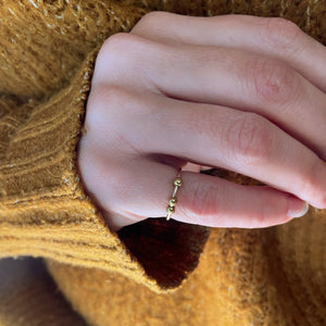 Fidget Ring